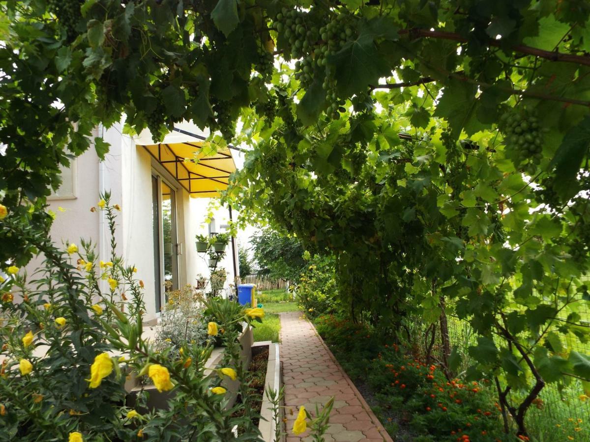 Casa Dany Ξενοδοχείο Corbu  Εξωτερικό φωτογραφία